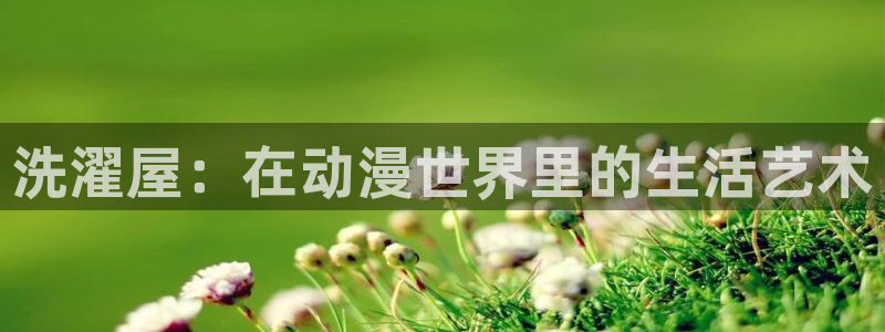 韩漫漫画阅读：洗濯屋：在动漫世界里的生活艺术配图