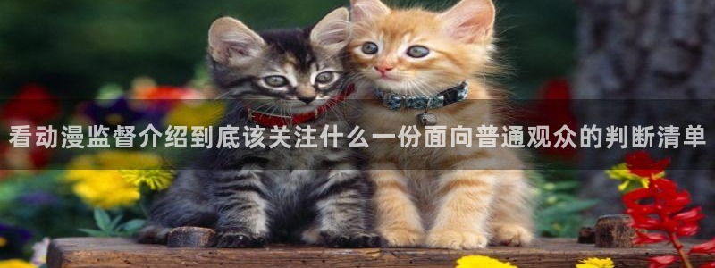 韩漫经典推荐：看动漫监督介绍到底该关注什么一份面向普通观众的判断清单配图