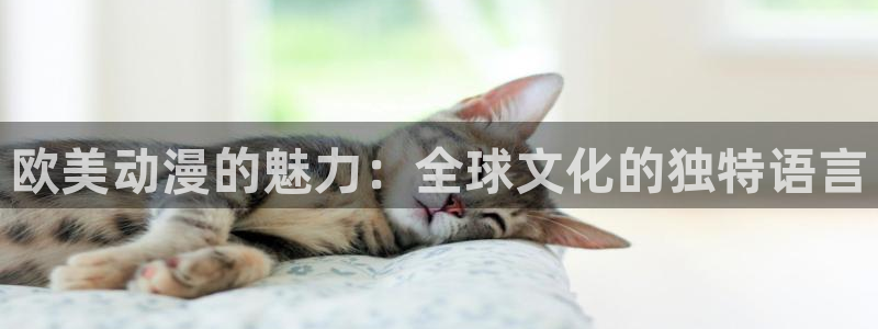 韩漫推荐：欧美动漫的魅力：全球文化的独特语言配图