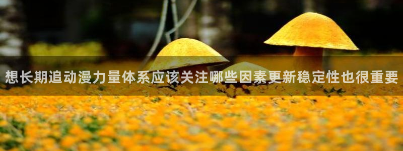 韩漫漫画大全全集：想长期追动漫力量体系应该关注哪些因素更新稳定性也很重要配图