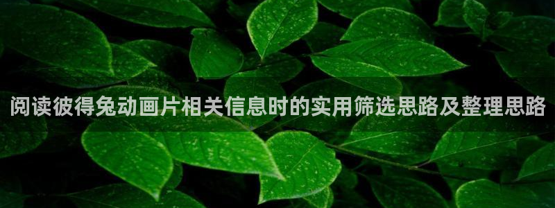 韩漫中文漫画在线:阅读彼得兔动画片相关信息时的实用筛选思路及整理思路配图