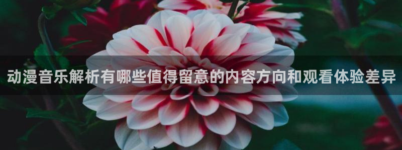 韩漫漫画免费阅读：动漫音乐解析有哪些值得留意的内容方向和观看体验差异配图